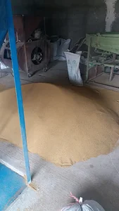فروشگاه و بوجاری بذریونجه سبز اذربایجان