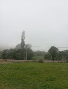 مدرسه ایوب تیموروند سلطان آبادی