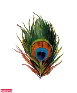 دکتر درفشی 2