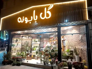 گل بابونه 2