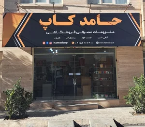 حامد کاپ 2