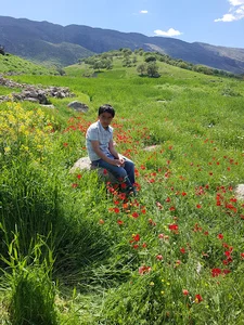 مدرسه غیر دولتی آراد