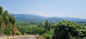 بام کومله