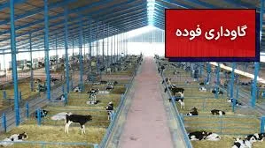 گاوداری