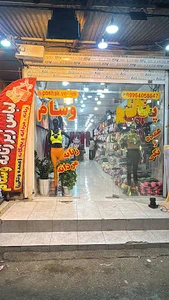 پخش لباس زیر زنانه و مردانه بچگانه وسام
