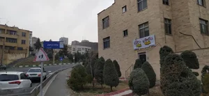 بیمارستان دامپزشکی دکتر تقی پور 2