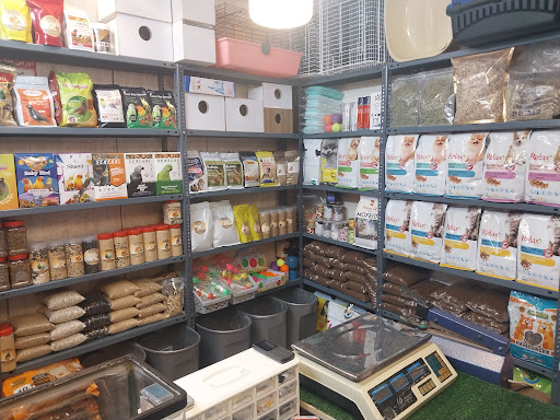 ائل گلی تبریز