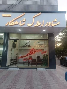 املاک شاهکار 2