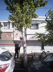 کفش پاریس 2