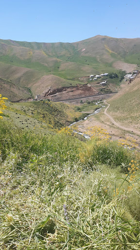 سولَمیش