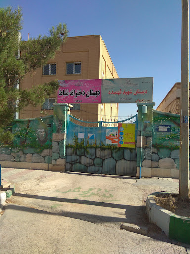 مدرسه ابتدائی نشاط
