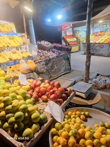 خانه سبزی زیتون 3