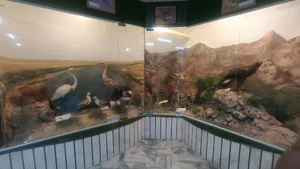 موزه حیات وحش شهرستان گناباد