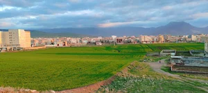 پارک شهرداری (گل)کلاله