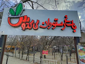 سفره خانه کاکتوس