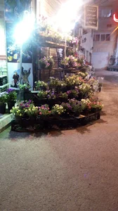 گل فروشی گل