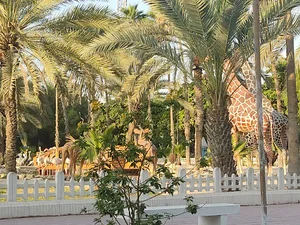 عکاسی الف