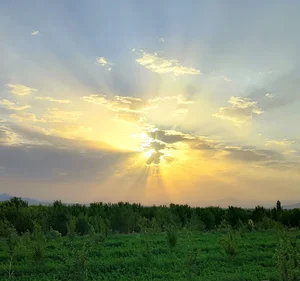 باغ شیخ حسین