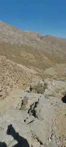 کوه کارکنان