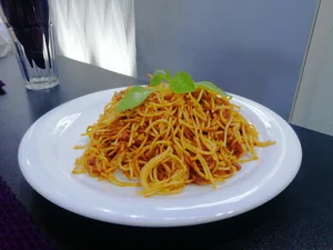 سفیر شاندیز