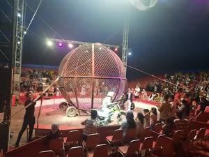 سیرک سیروس قهرمانی