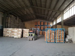 سردخانه برد اصفهان