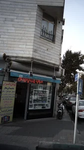 موبایل پالیزان 2