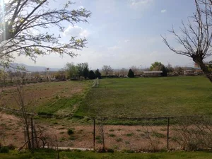 زمین چمن دانشگاه 5