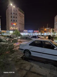 دندان پزشکی شفا 2