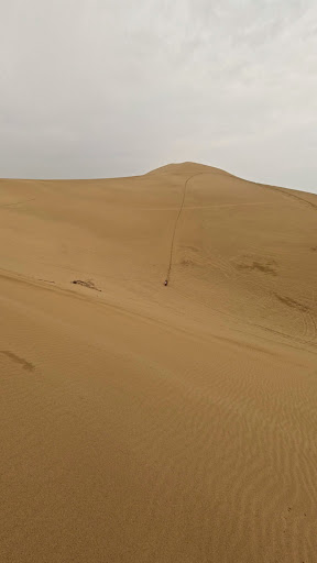 چال سیاه ریجن