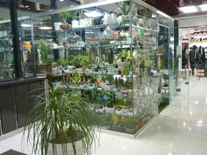 فروشگاه تخصصی گل در خانه
