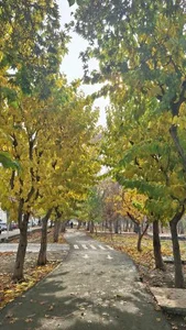 بوستان خانواده 5