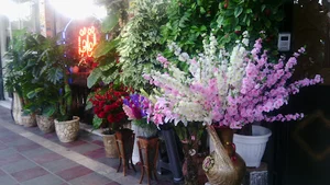 گل فروشی اقاقیا