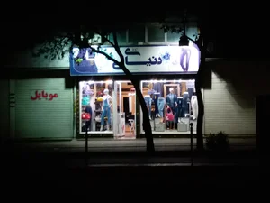 دنیای لی