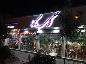 گل فروشی باکارا