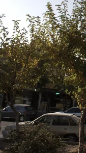 نان سنگک