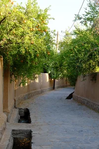 هتل بوم گردی