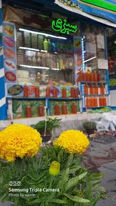 سبزی خرد کنی برگ سبز تازه