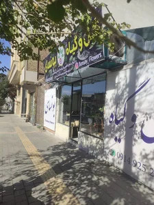 گل و گیاه بونسای
