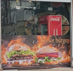 سناتور برگر