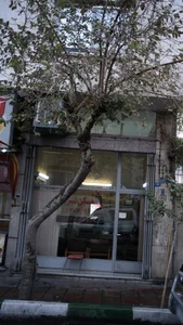 املاک مدرن 3