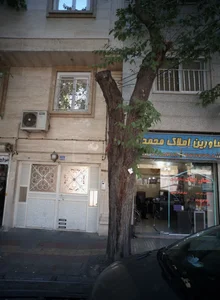 مشاورین املاک محمدی 2