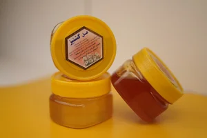 فروشگاه ایلسا عسل