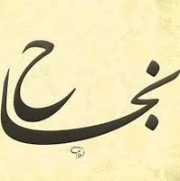 نجاح | الميادين