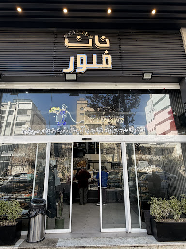 نان فلور