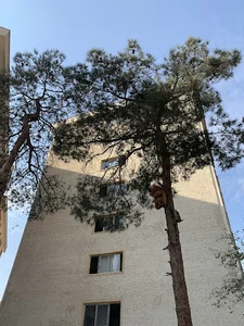 دانشکده اقتصادوحسابداری تهران جنوب