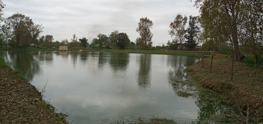 خانه آقای عابدی