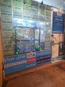 کافی نت مورفی 2