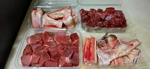نێچیر پروتئینی/NECHIR PROTEIN