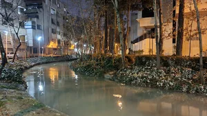 مادی نیاصرم